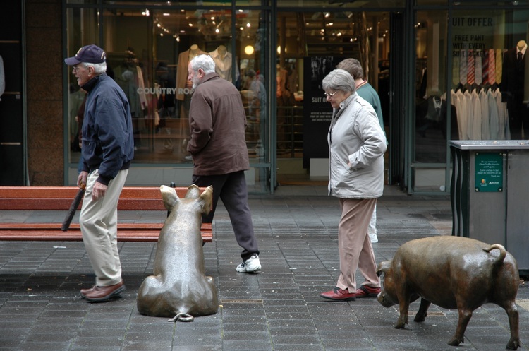 Bronze pigs in Rundle Mall