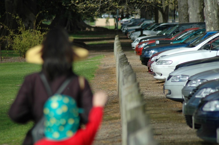 A line of cars and fence-posts