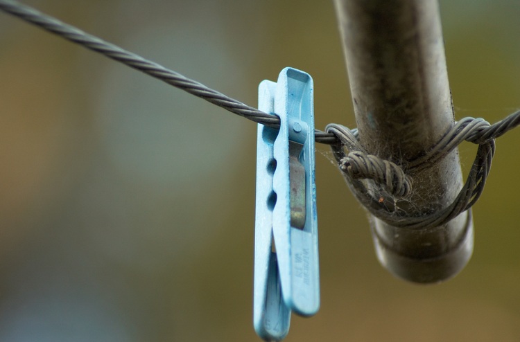 A peg and a tiny spider hanging from a clothes line