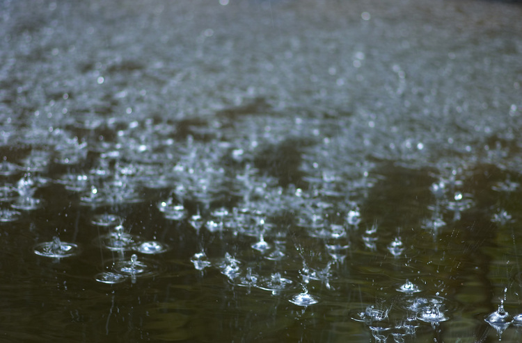 Drops of water on a pond