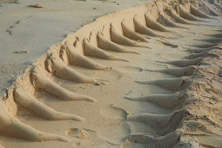 Machine tracks in soft sand