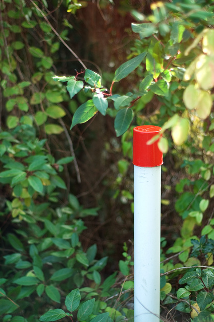 A red and white fire plug marker