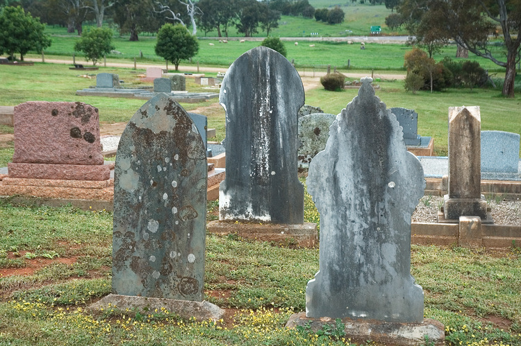 Three headstones in a cemetery