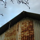 A rusty corrugated iron shed