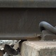 Railway rail and sleeper