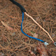 A pair of wires sitting on a bed of pine needles