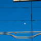 Utility wires, against a blue sky and the moon